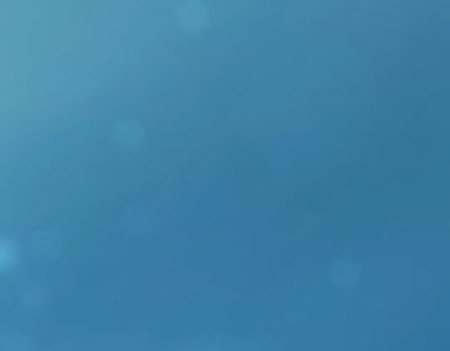 160.jpg