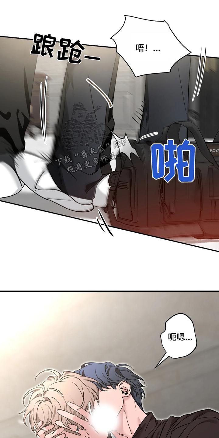 12.jpg