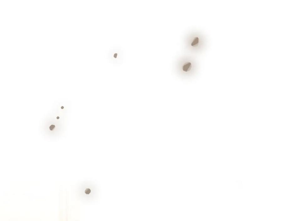 146.jpg