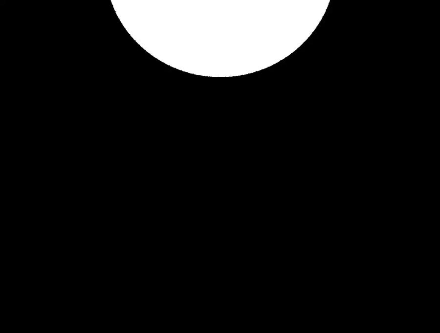 100.jpg