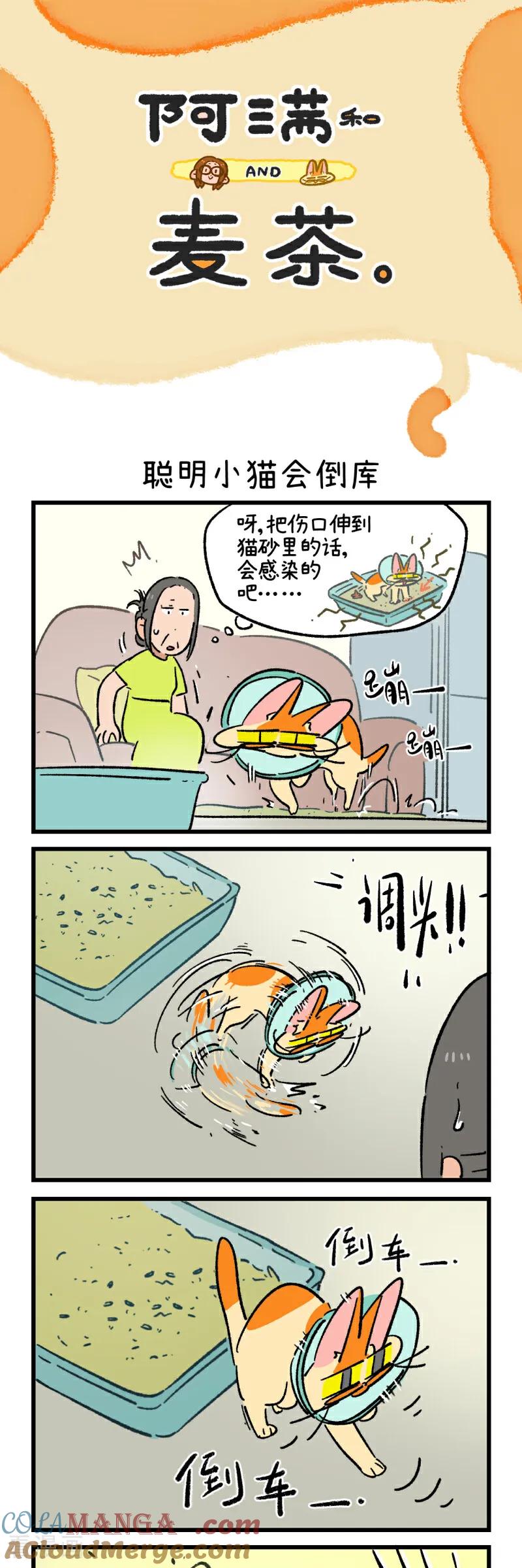 第224话-阿满和麦茶-新漫画 日胖大海寺（第13张）
