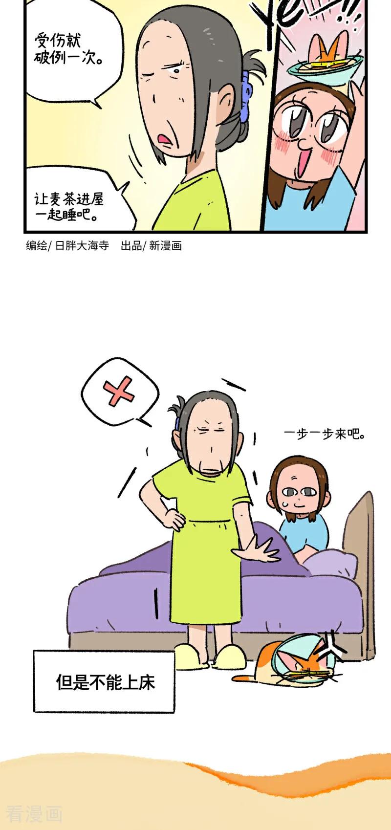 第224话-阿满和麦茶-新漫画 日胖大海寺（第8张）