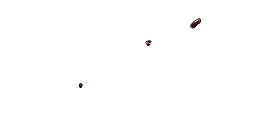 91.jpg
