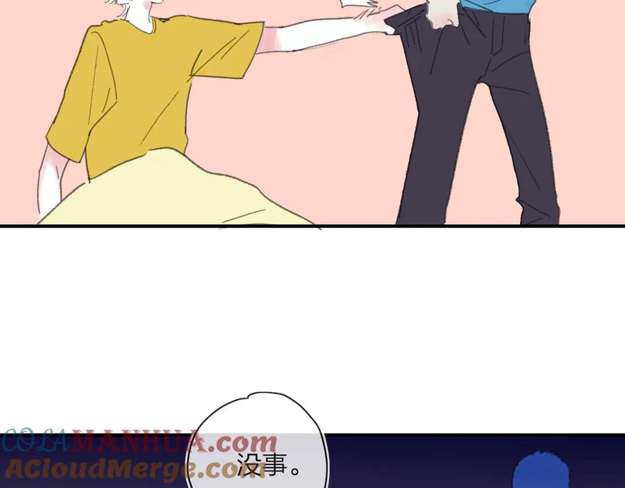 85.jpg