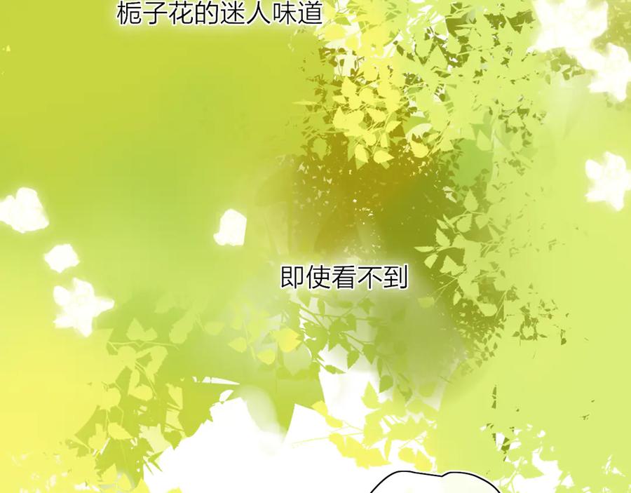 86.jpg