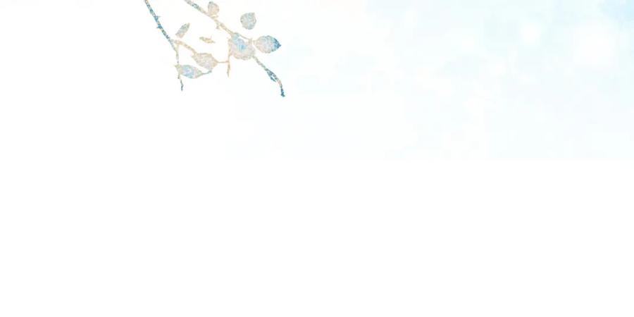 87.jpg