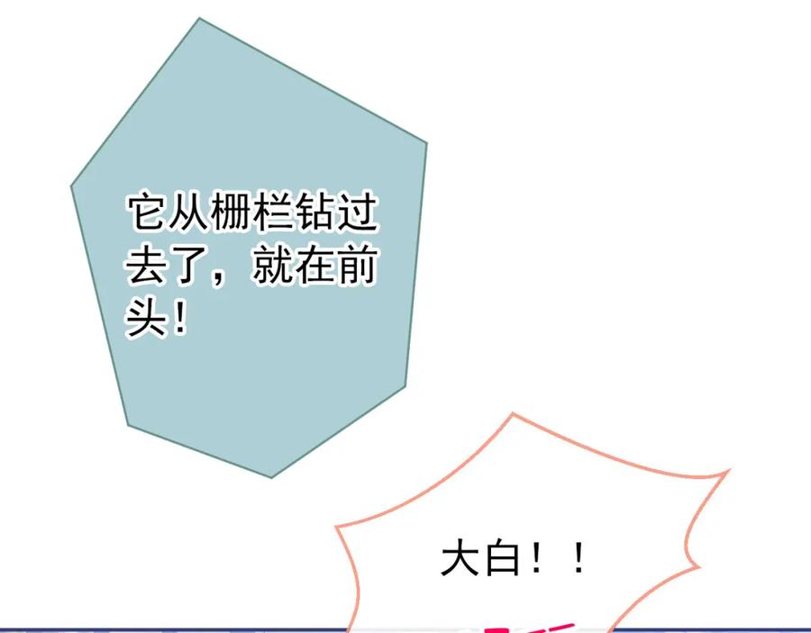 107.jpg