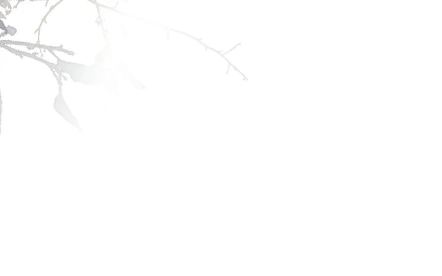 86.jpg