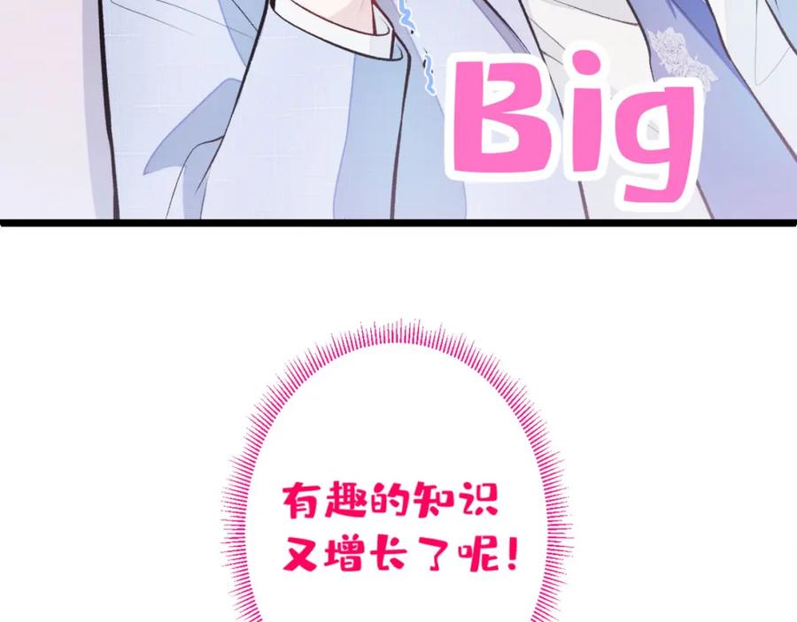 112.jpg