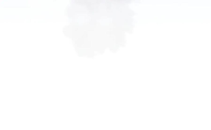 83.jpg