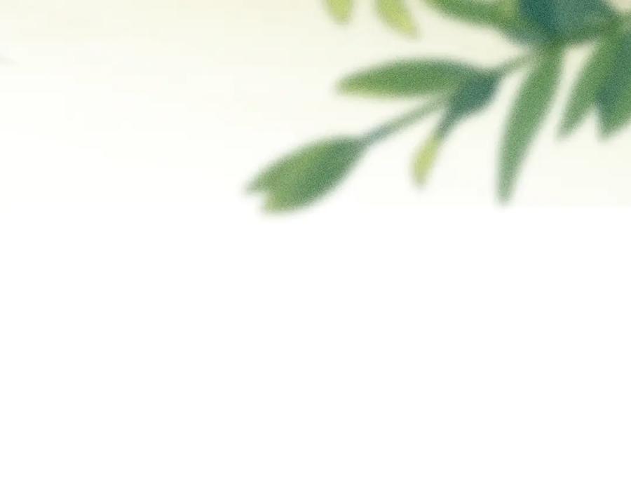 100.jpg