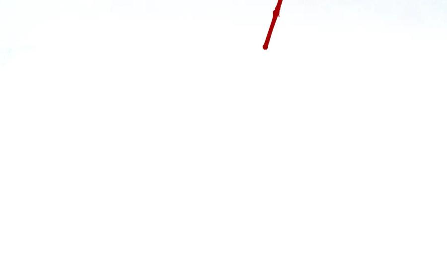 110.jpg
