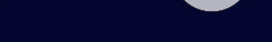 96.jpg