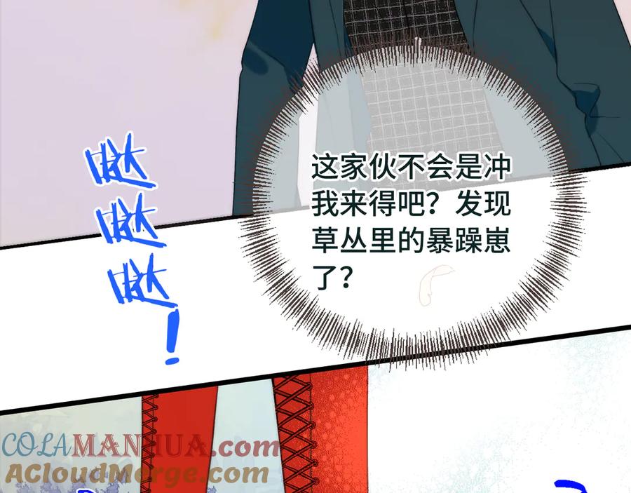 113.jpg