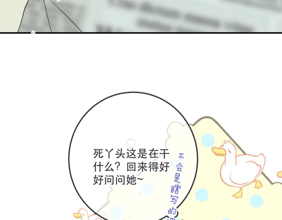 51.jpg