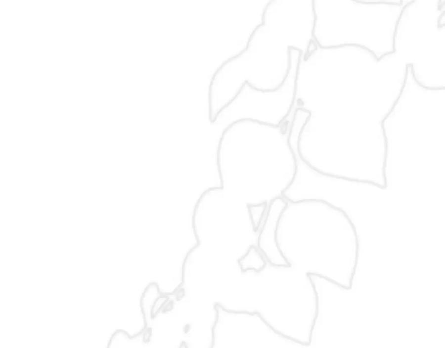 90.jpg