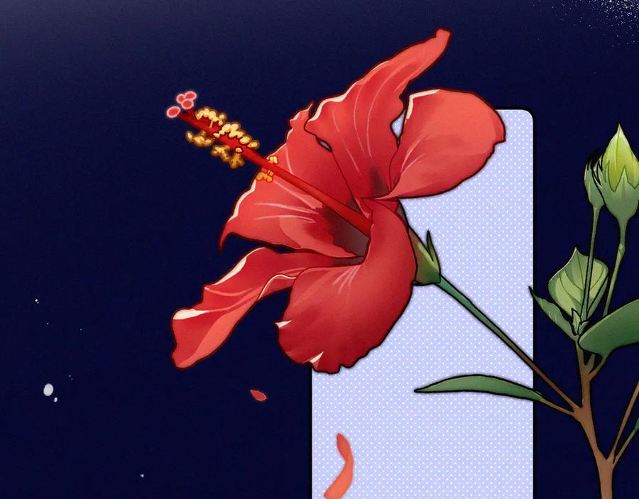 54.jpg