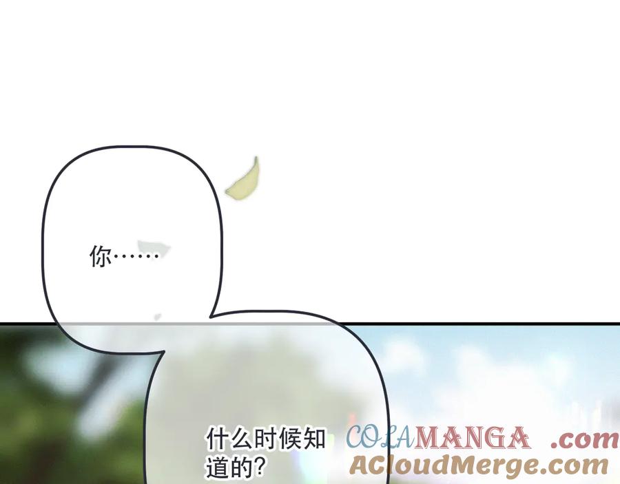 97.jpg