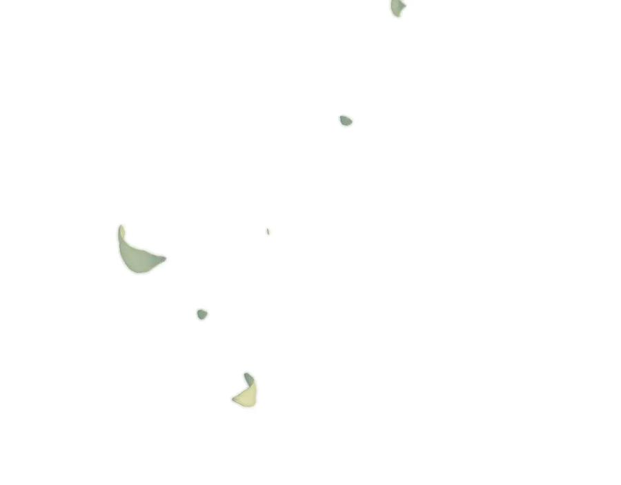 102.jpg