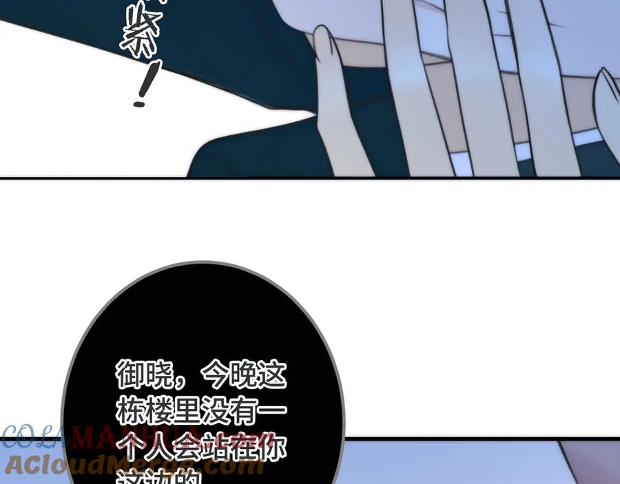117.jpg