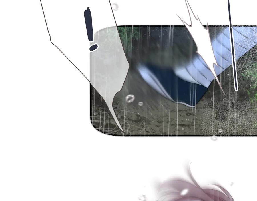 86.jpg