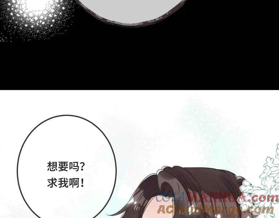 97.jpg
