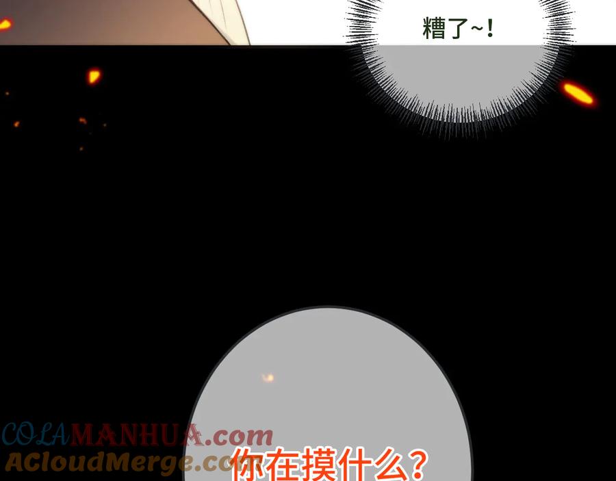 113.jpg