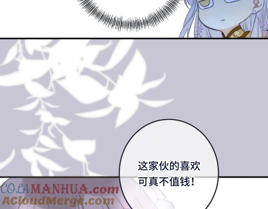 113.jpg