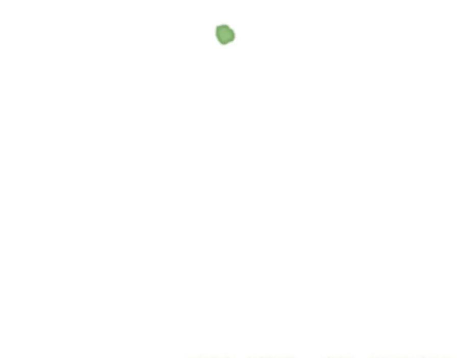 115.jpg