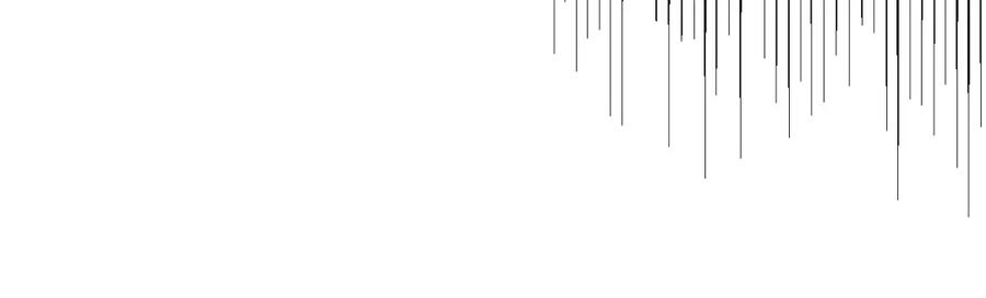 95.jpg