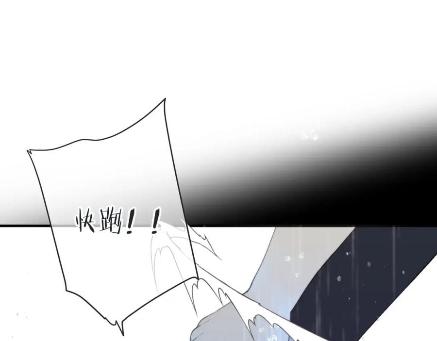 116.jpg