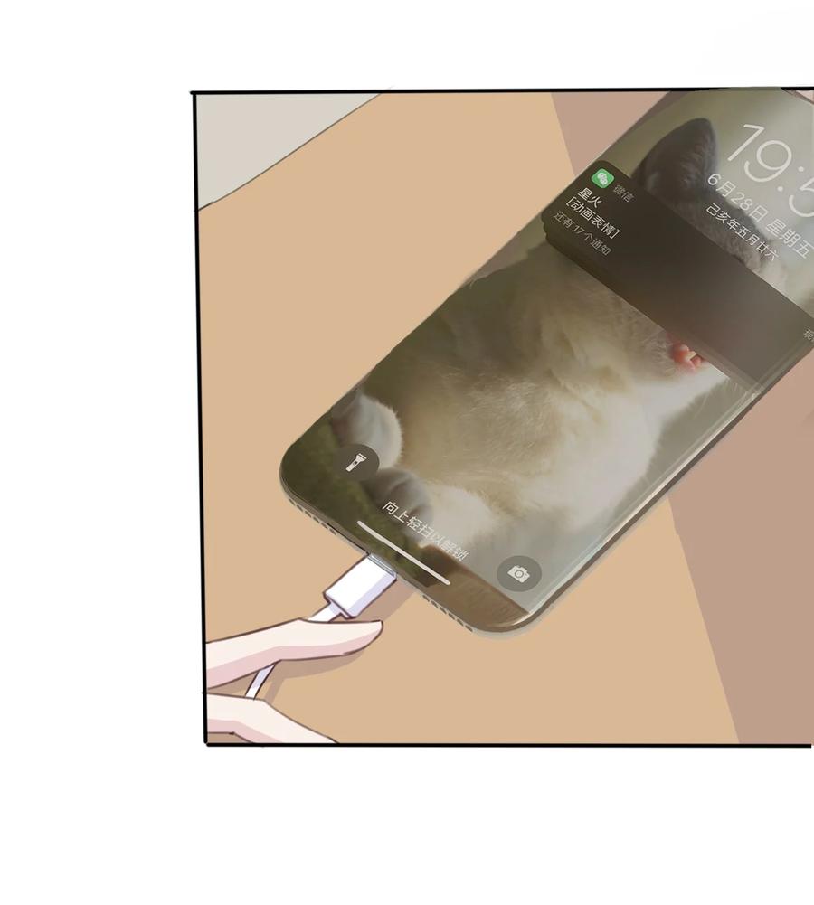 47.jpg