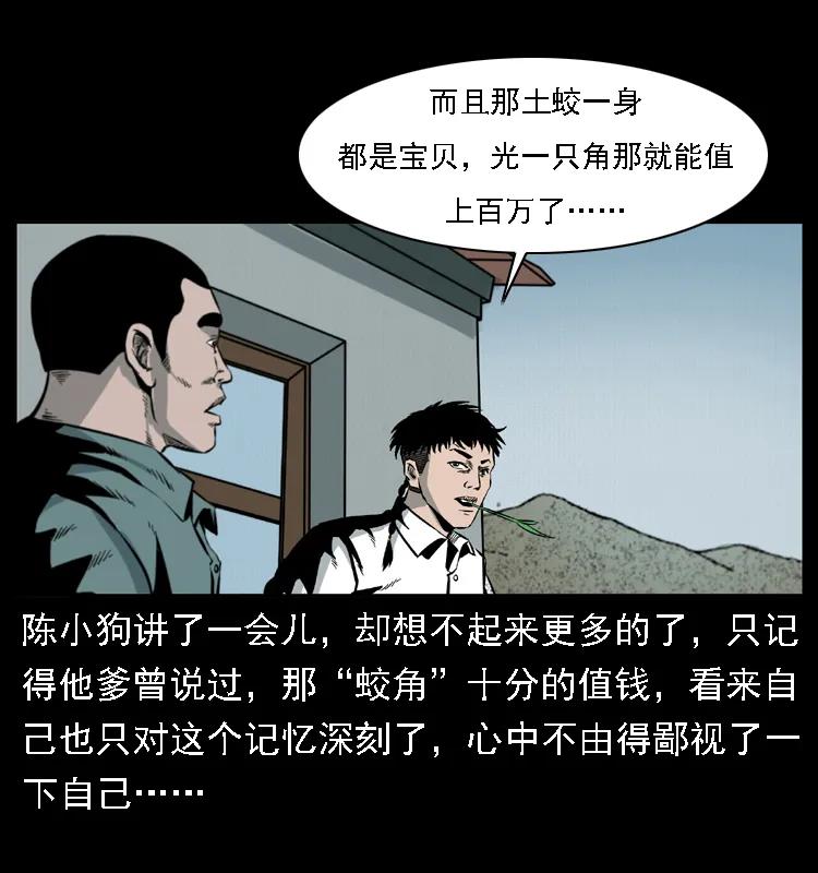 60.jpg