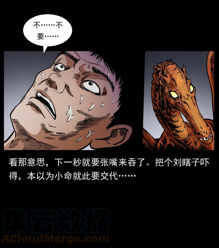 64.jpg