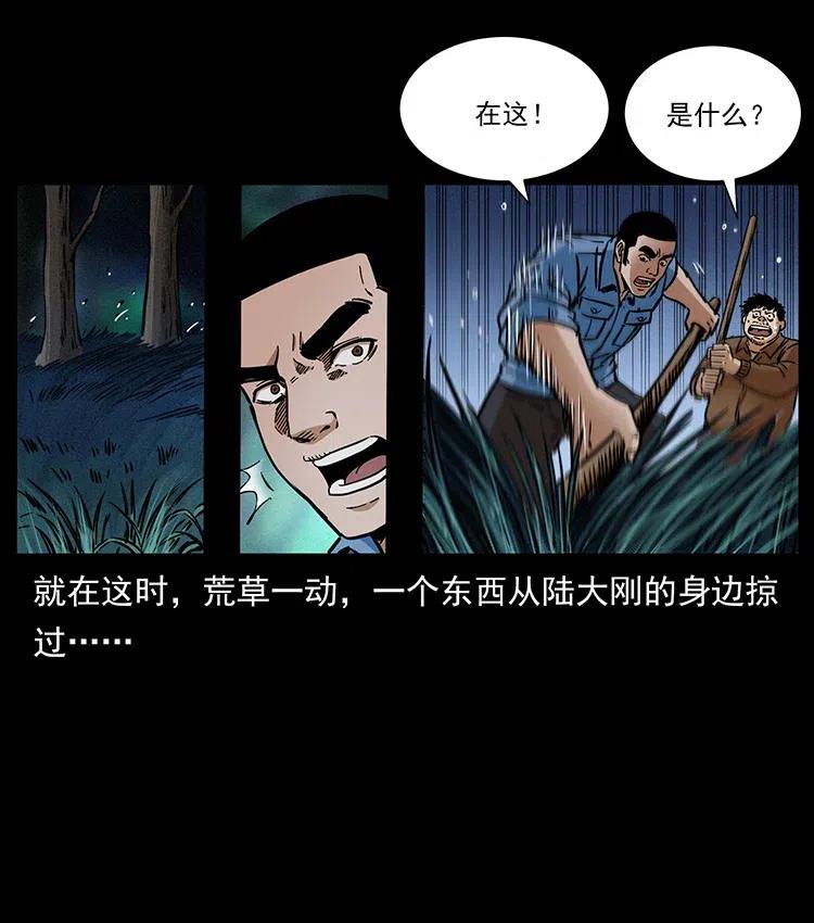 79.jpg