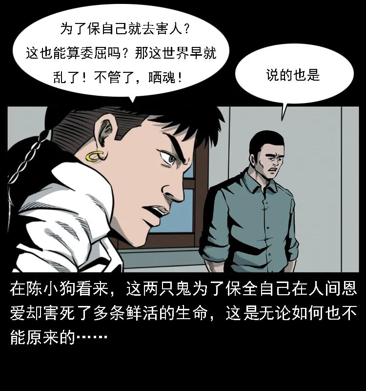 51.jpg