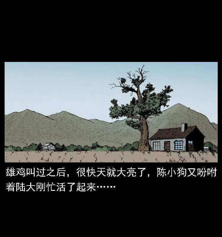 52.jpg