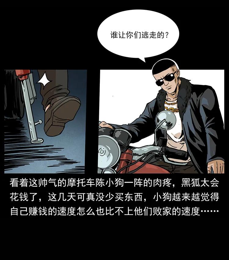 51.jpg