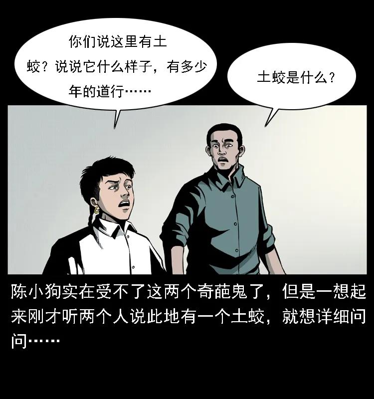 43.jpg