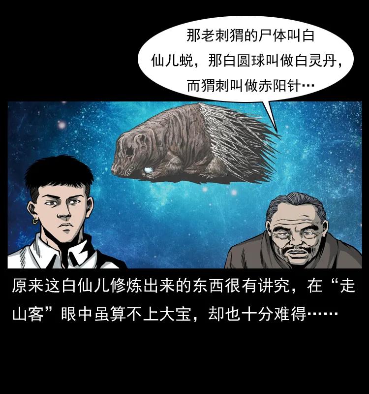 51.jpg