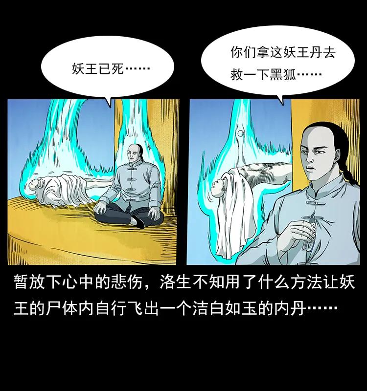 47.jpg