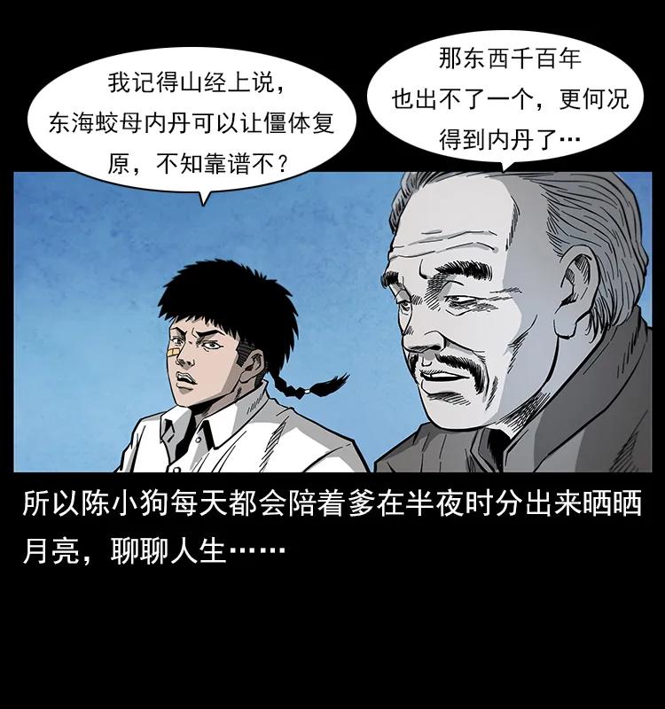 35.jpg