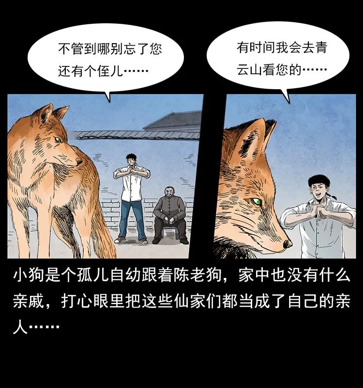 48.jpg