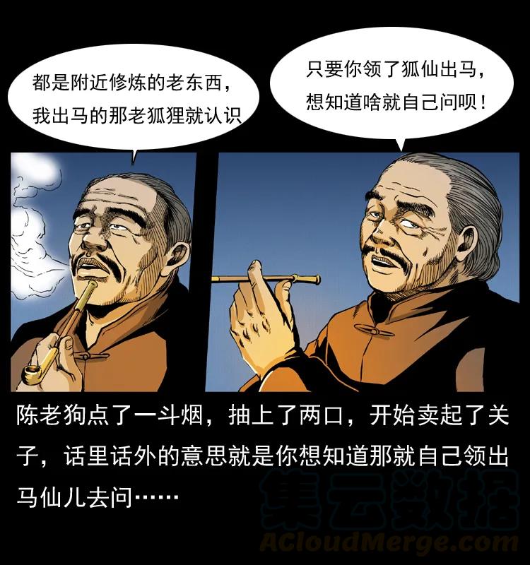 41.jpg