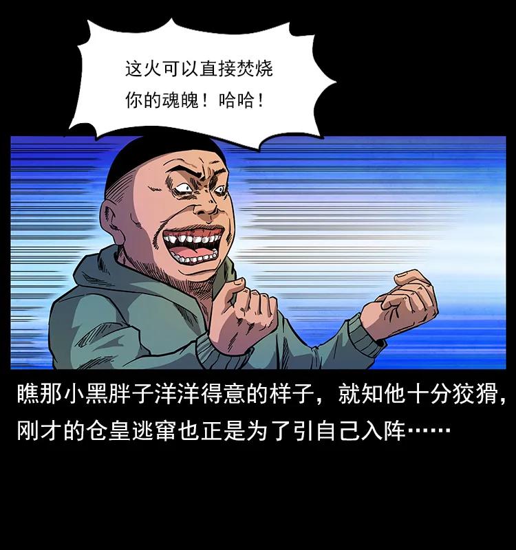 47.jpg