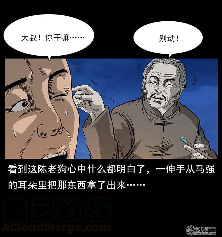 81.jpg
