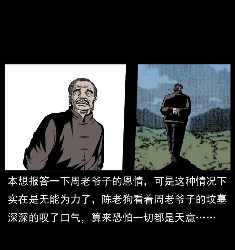 64.jpg