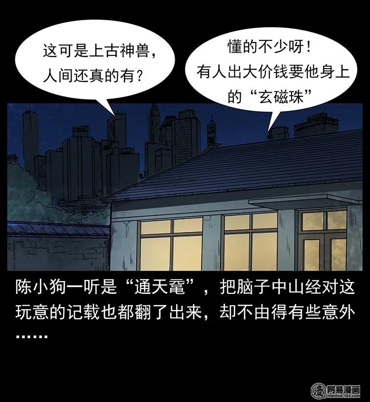 78.jpg