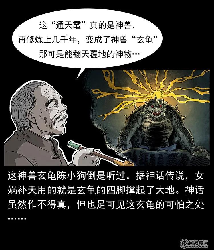 81.jpg