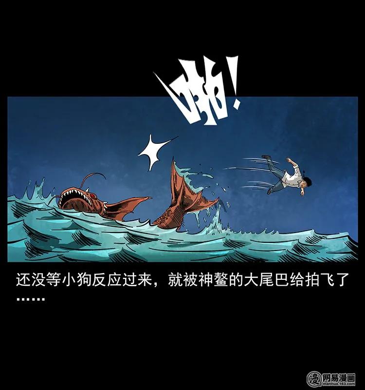 58.jpg